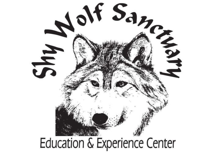 Shy Wolf Sanctuary awarded $4,650 SeaWorld Conservation Fund